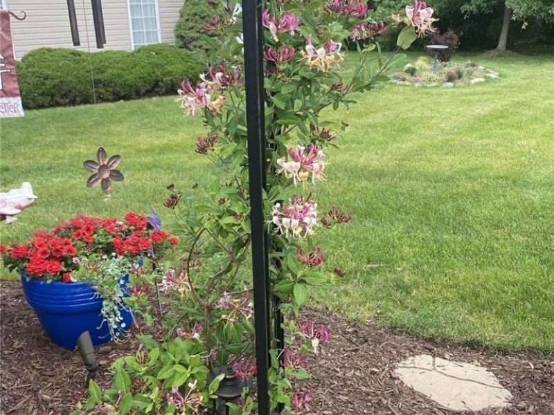 17209 Sun Meadow Trail, Strongsville, OH 44149 Photo 22