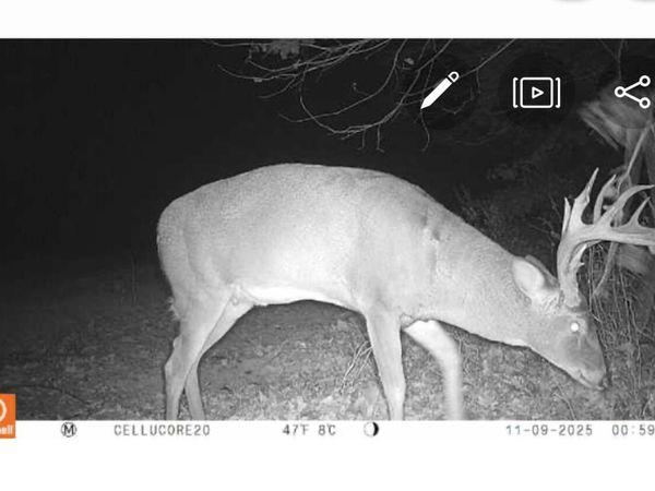 00 County Road 1825 E, Greenup, IL 62428