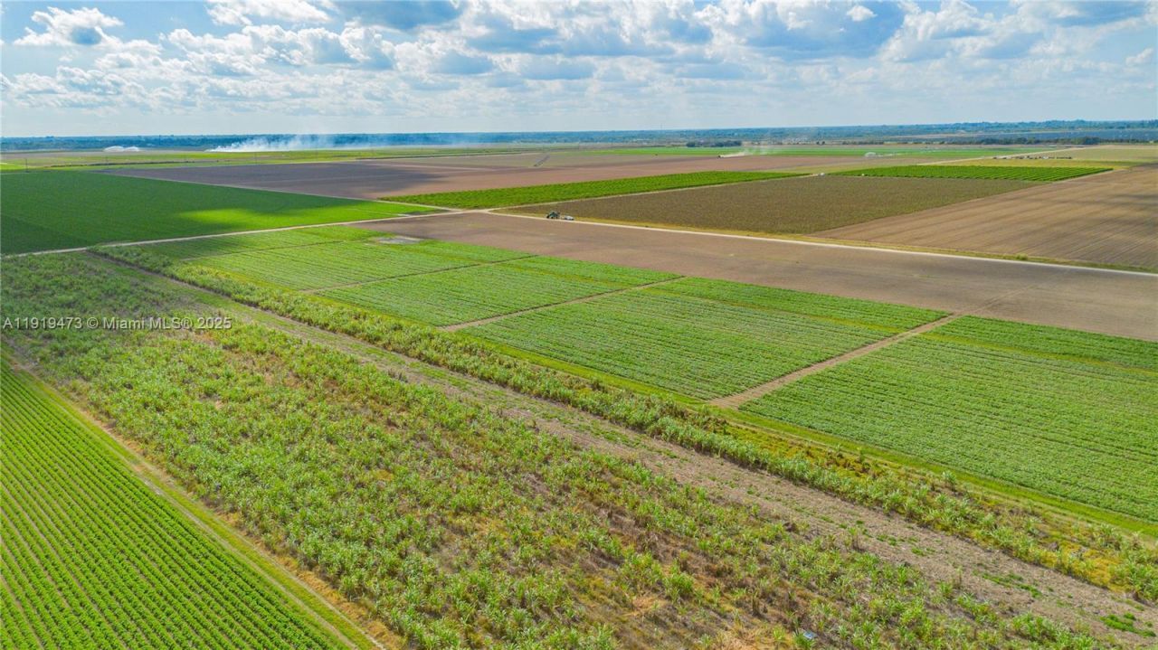 167xx SW 128th St, Miami, FL 33196 Photo