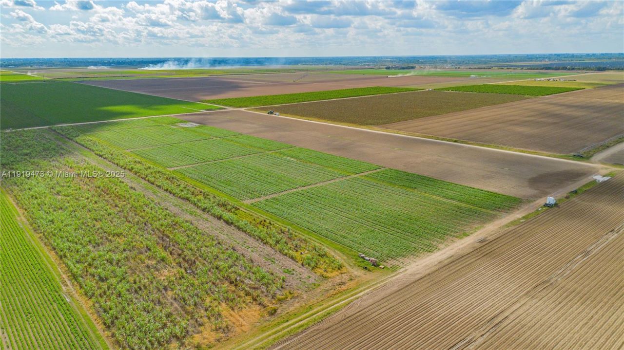 167xx SW 128th St, Miami, FL 33196 Photo