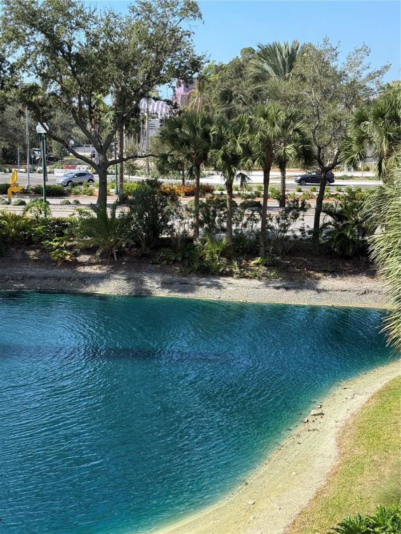 800 N Tamiami Trail, Unit 211, Sarasota, FL 34236 Photo