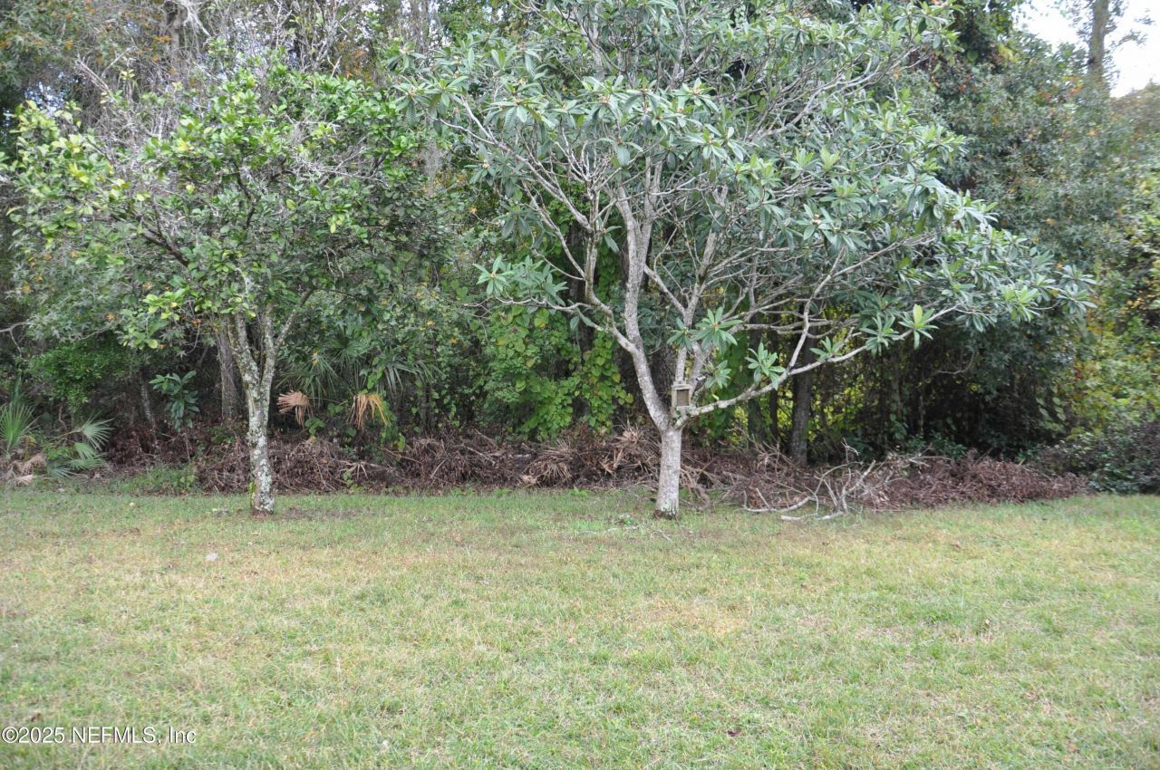 14561 Starbuck Springs Way, Jacksonville, FL 32258 Photo