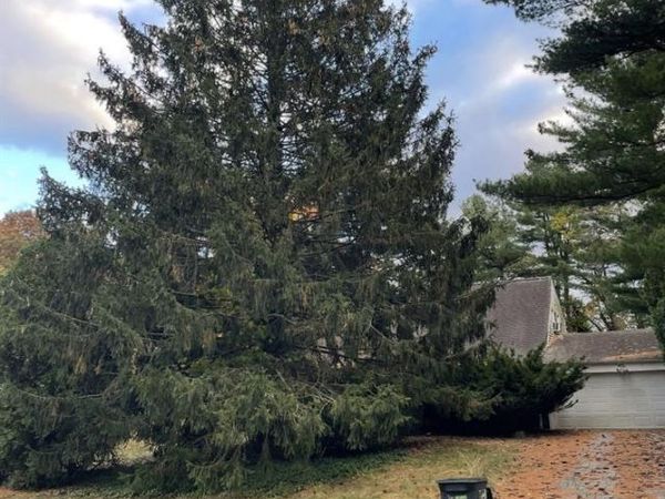 152 Sycamore Circle, Stony Brook, NY 11790