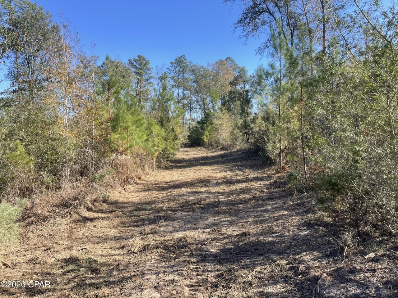 0000 Arrant Road, Westville, FL 32464 Main Photo