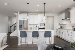 354 Chapin Place Way photo 4