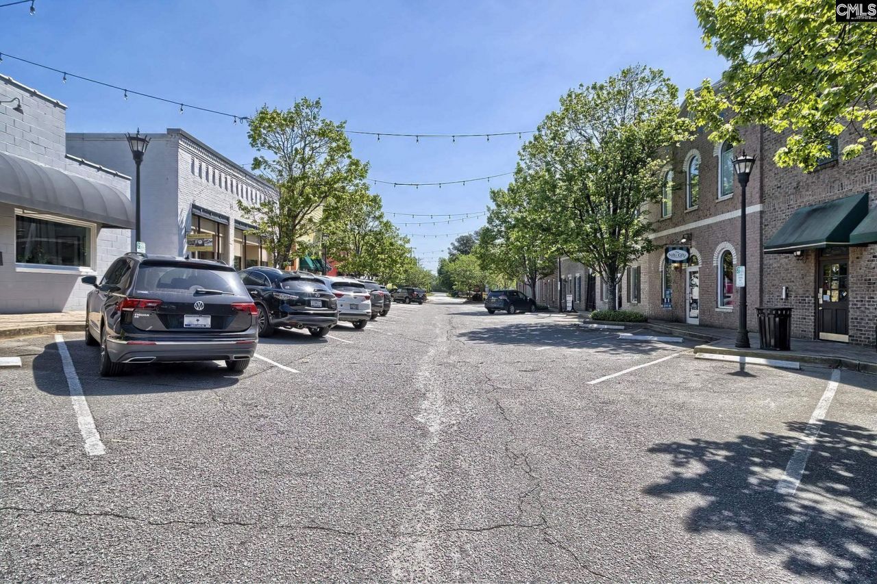 354 Chapin Place Way Photo 30