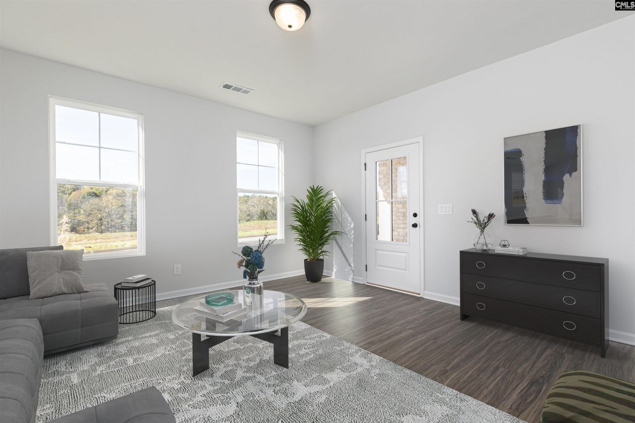 354 Chapin Place Way Photo 6