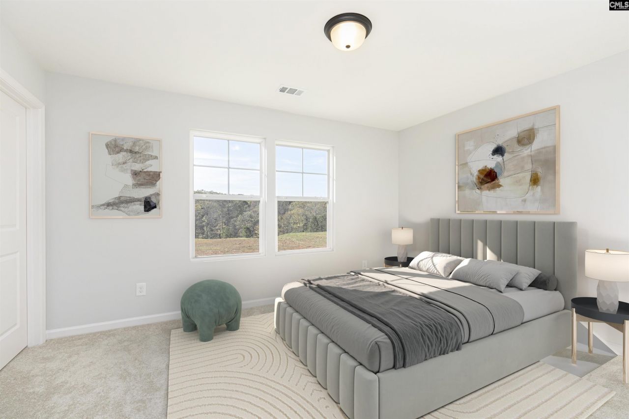 354 Chapin Place Way Photo 8