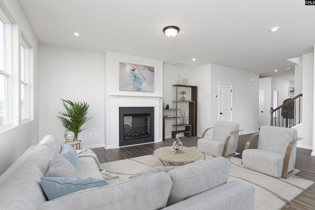 354 Chapin Place Way Photo 9