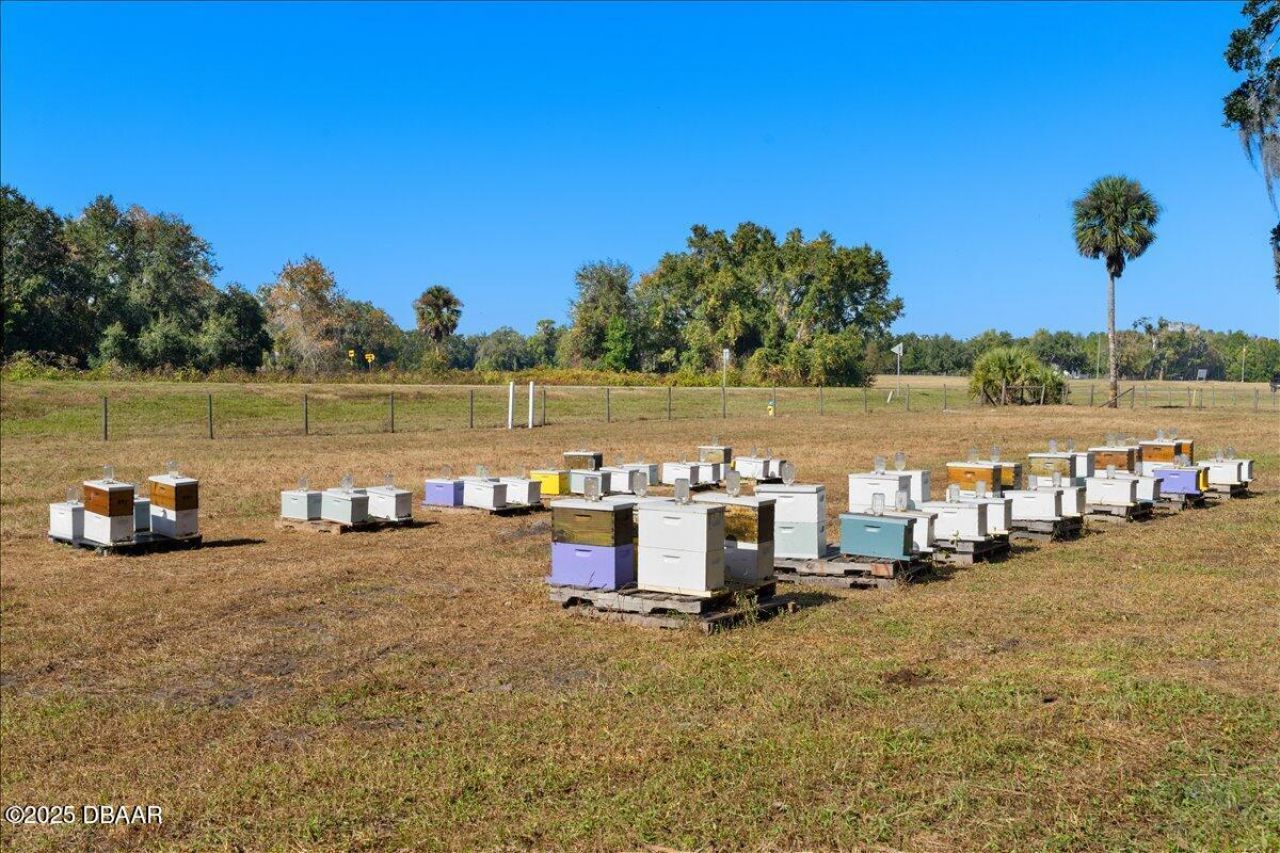 4420 Daugharty Road, Deland, FL 32724 Photo