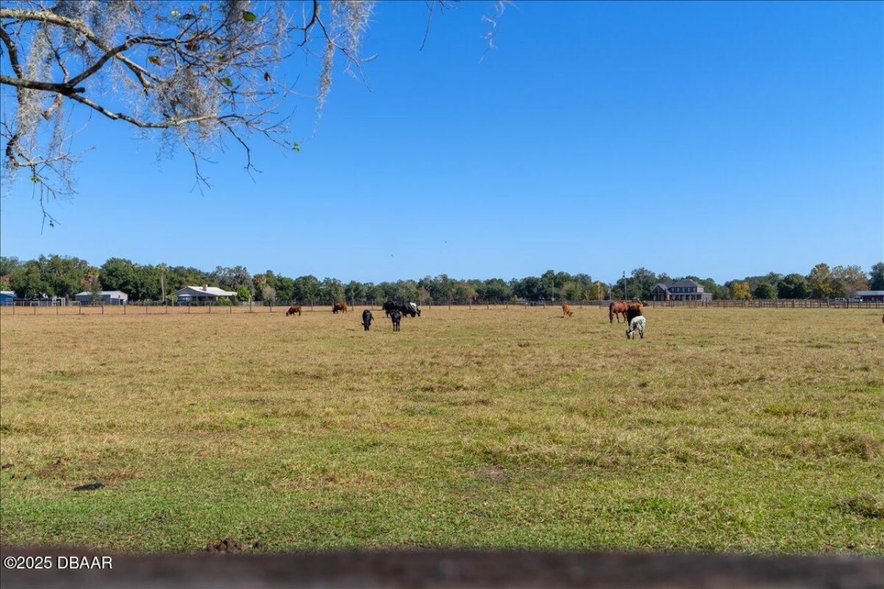4420 Daugharty Road, Deland, FL 32724 Photo
