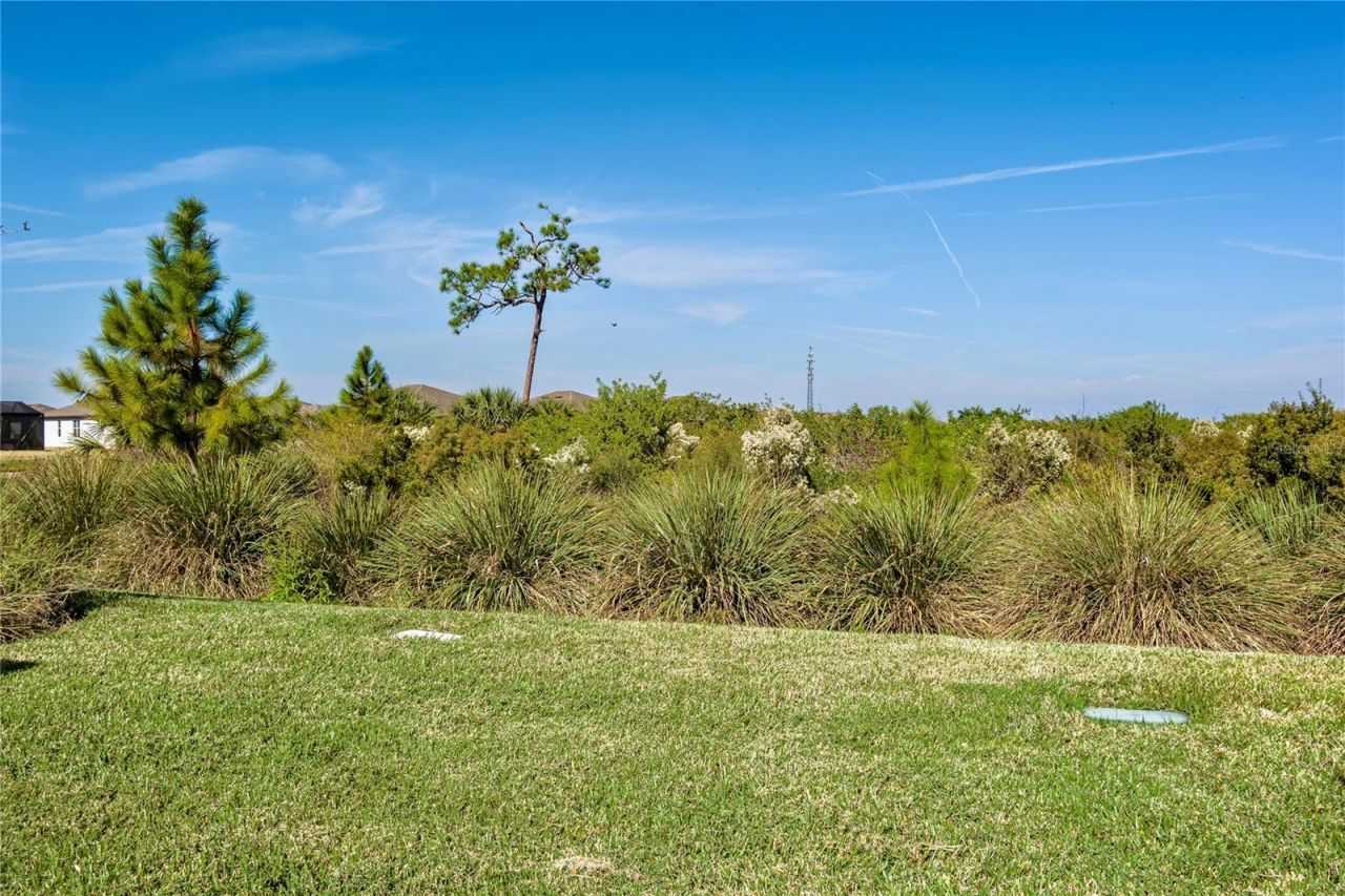 10641 Spring Tide Way, Parrish, FL 34219 Photo