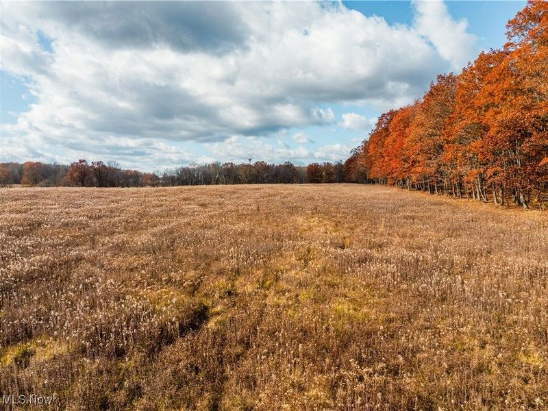 1520 Bedford Road, Lowellville, OH 44436 Photo 23