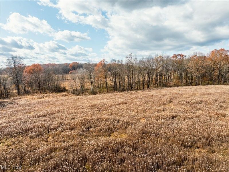 1520 Bedford Road, Lowellville, OH 44436 Photo 26