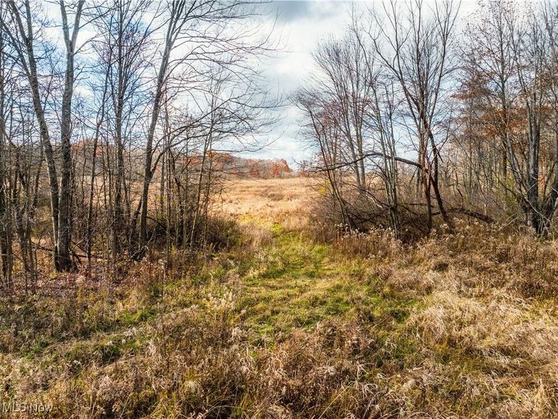 1520 Bedford Road, Lowellville, OH 44436 Photo 27