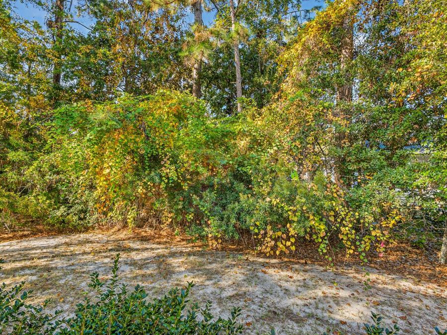 Property Image 56