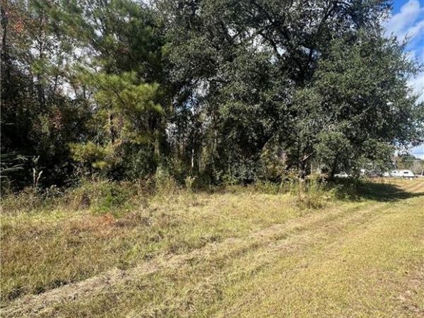 Lot 265 ARBOR Drive, Robert, LA 70455