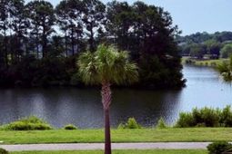 2919 Waterleaf Road photo 4