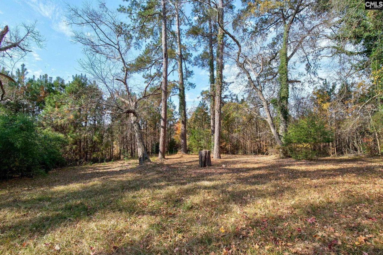 150 Lake Elizabeth Drive Photo 29