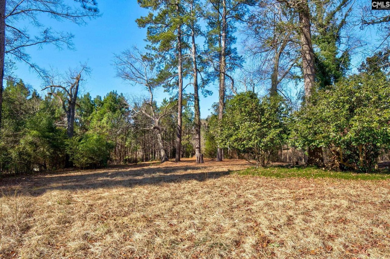 150 Lake Elizabeth Drive Photo 76