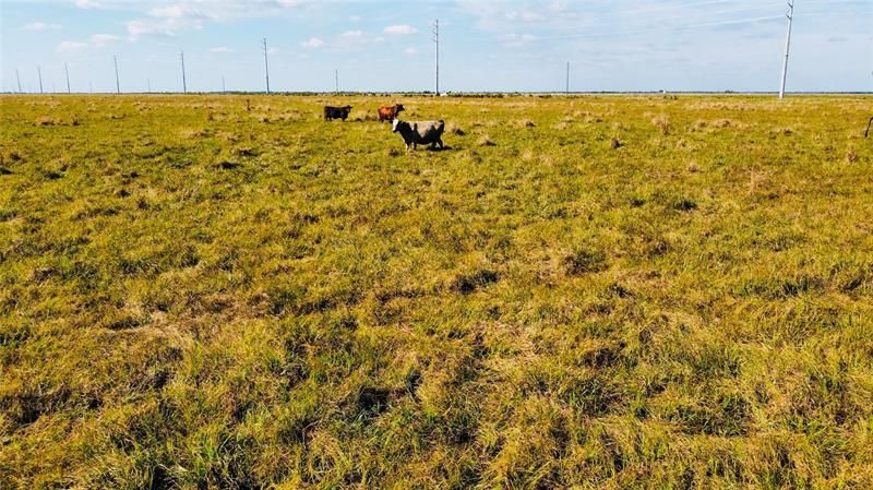 Hwy 441n Hwy 441, Okeechobee, FL 34972 Photo