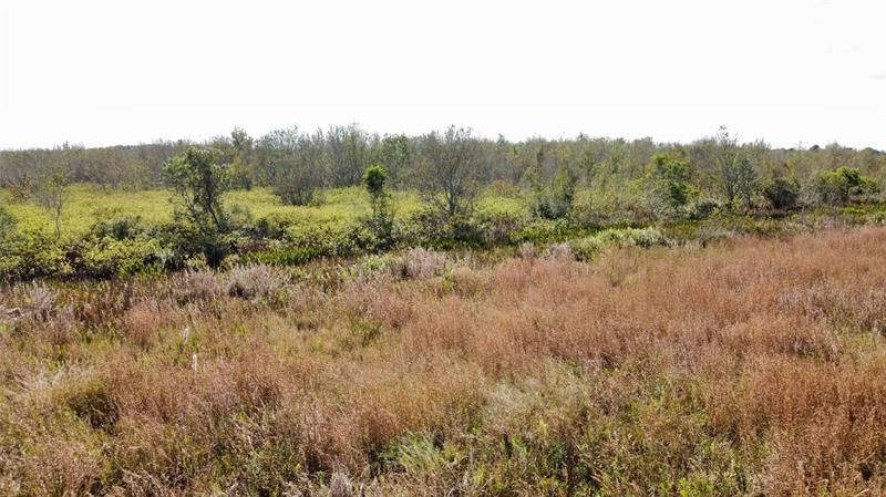 Hwy 441n Hwy 441, Okeechobee, FL 34972 Photo