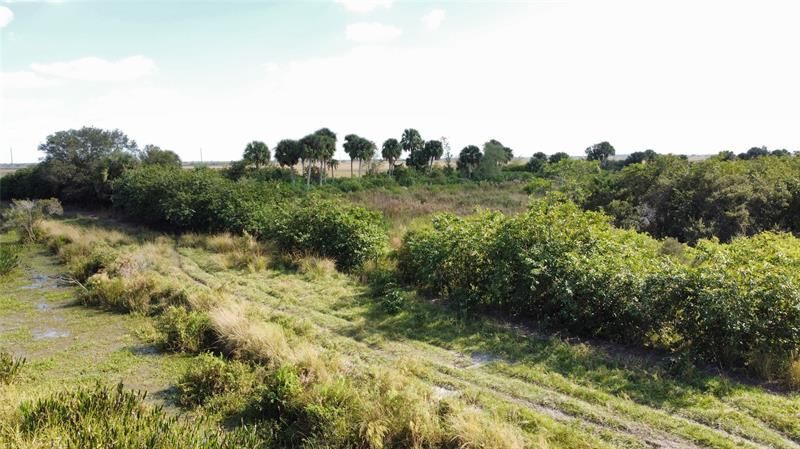 Hwy 441n Hwy 441, Okeechobee, FL 34972 Photo