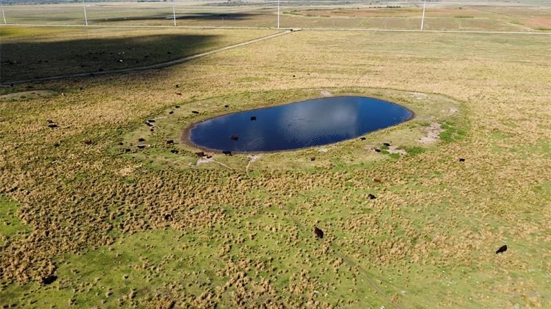 Hwy 441n Hwy 441, Okeechobee, FL 34972 Photo