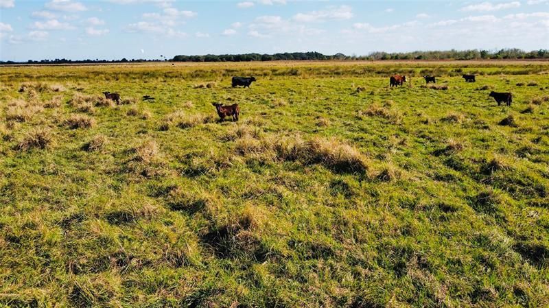 Hwy 441n Hwy 441, Okeechobee, FL 34972 Photo