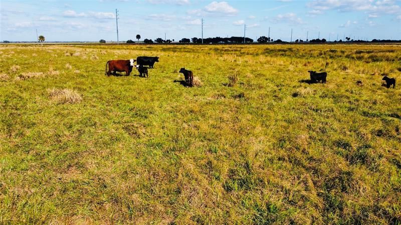 Hwy 441n Hwy 441, Okeechobee, FL 34972 Photo