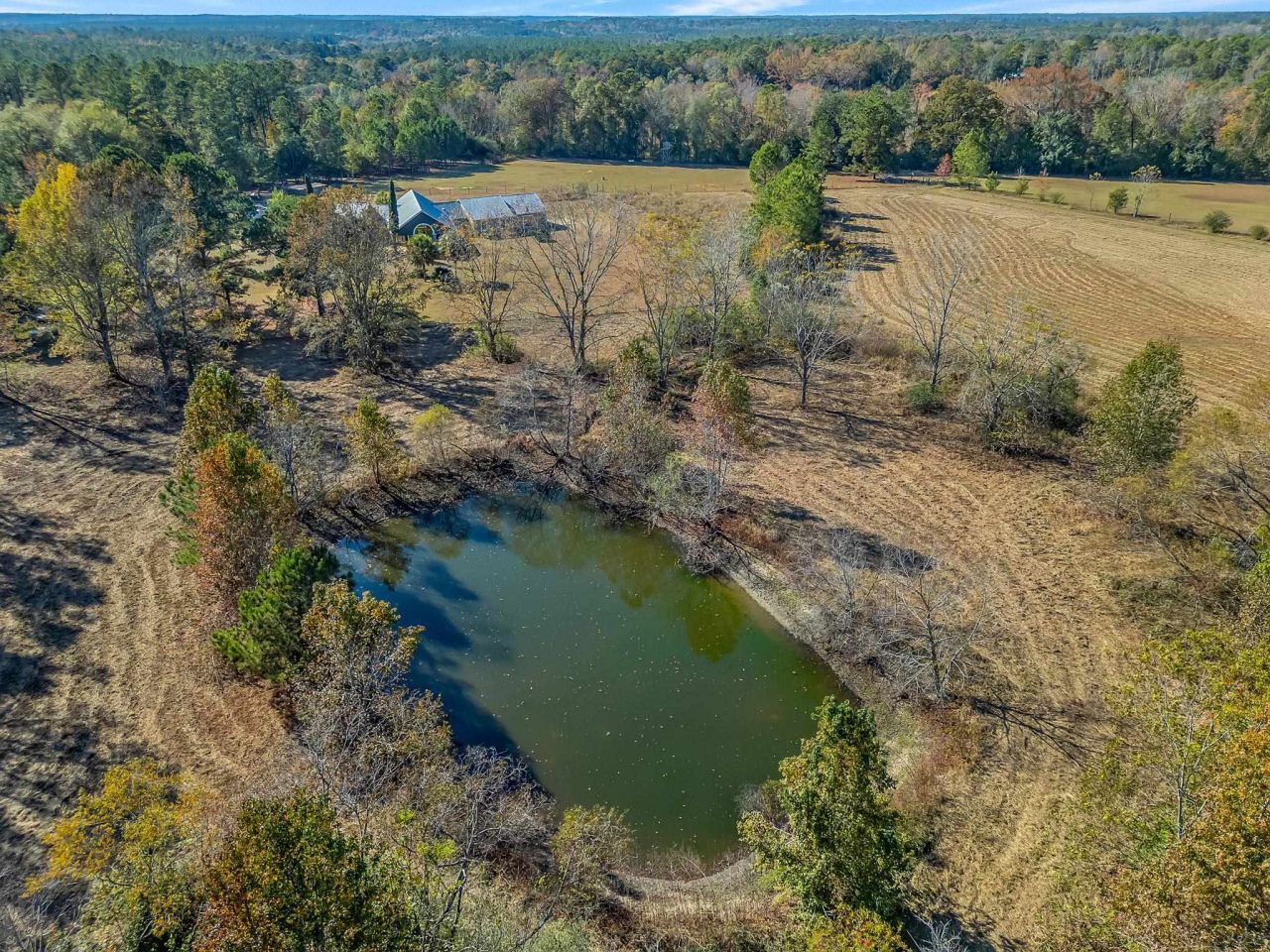 8701 Salem Road, Quincy, FL 32352 Photo