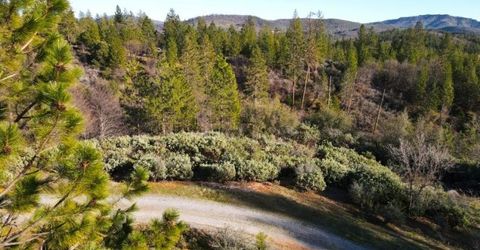 2805 Mason Rd, Rail Road Flat, CA 95248 Photo