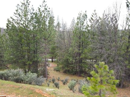 2805 Mason Rd, Rail Road Flat, CA 95248 Photo