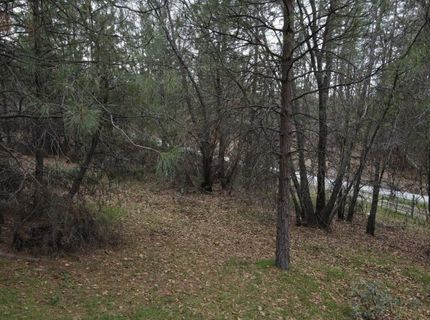 2805 Mason Rd, Rail Road Flat, CA 95248 Photo