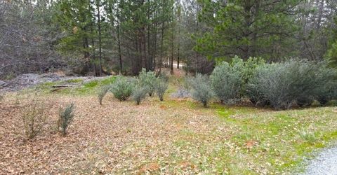 2805 Mason Rd, Rail Road Flat, CA 95248 Photo
