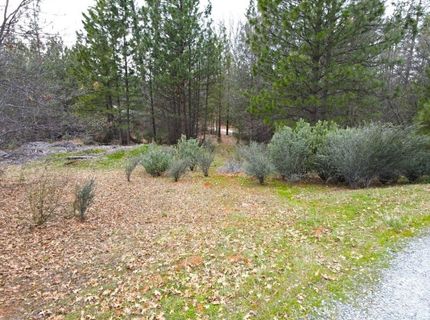 2805 Mason Rd, Rail Road Flat, CA 95248 Photo