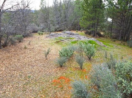 2805 Mason Rd, Rail Road Flat, CA 95248 Photo