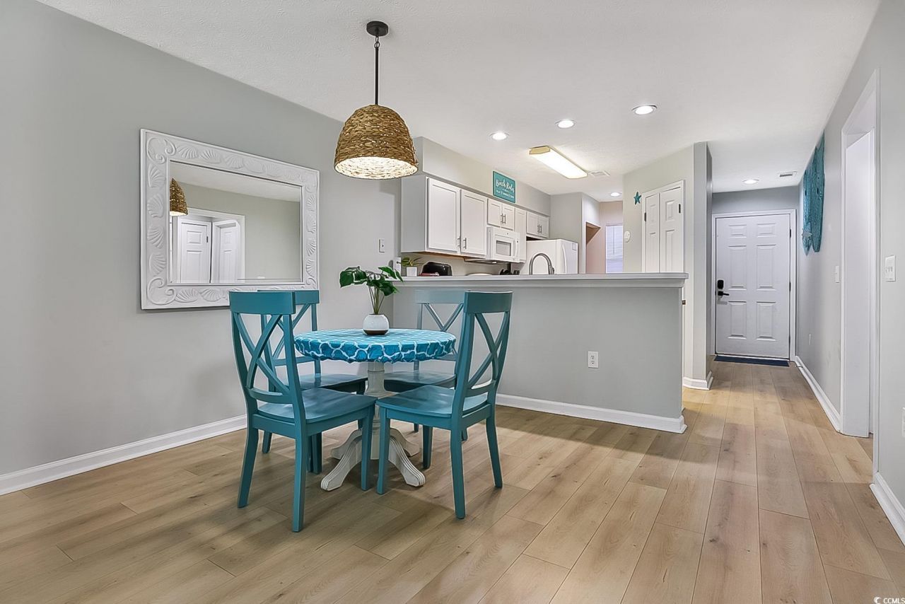 510 White River Dr. Photo 15