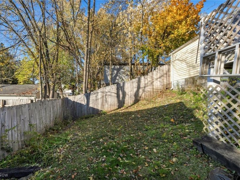 1646 Highview Avenue, Akron, OH 44301 Photo 46