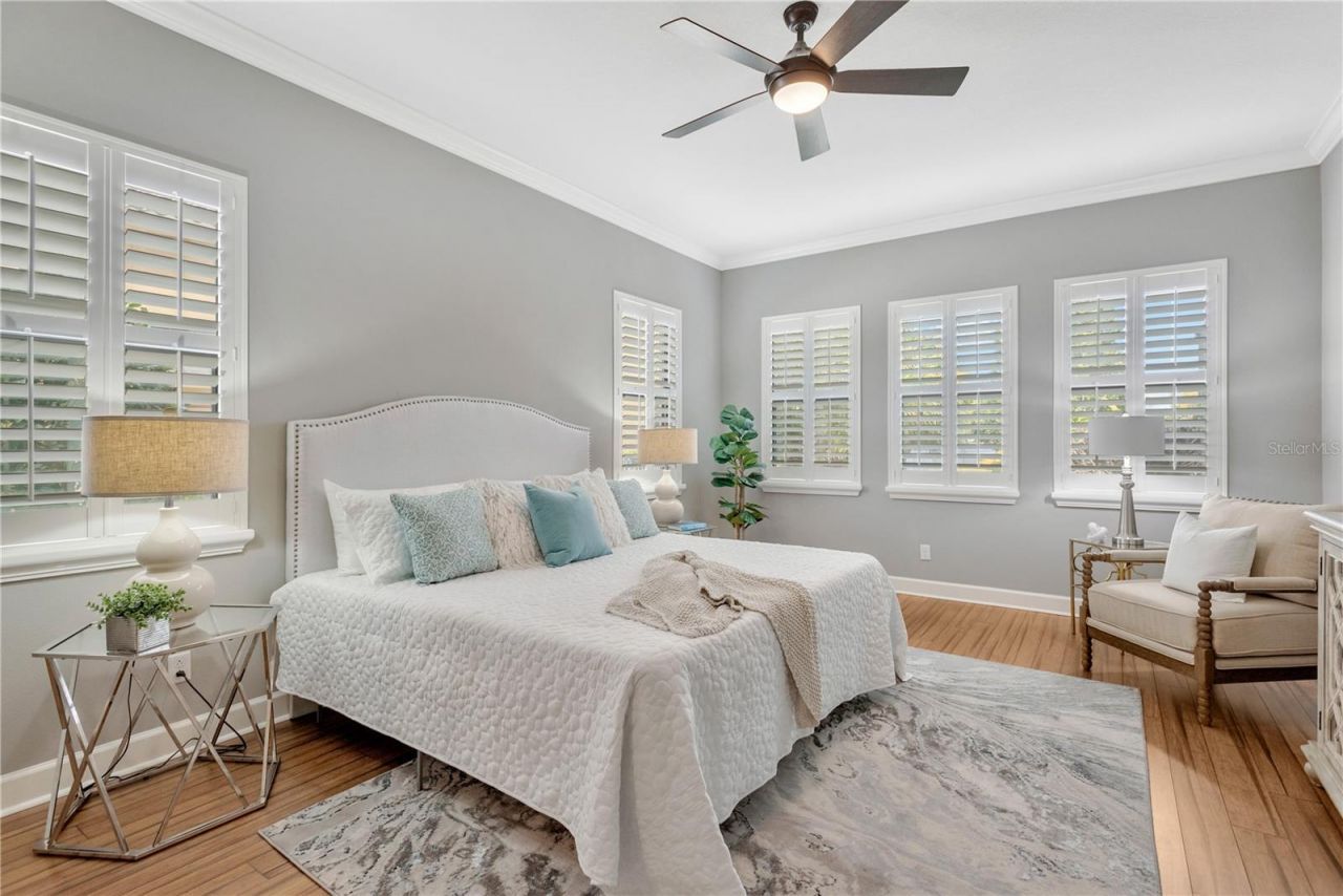 9127 Tillinghast Drive, Tampa, FL 33626 Photo