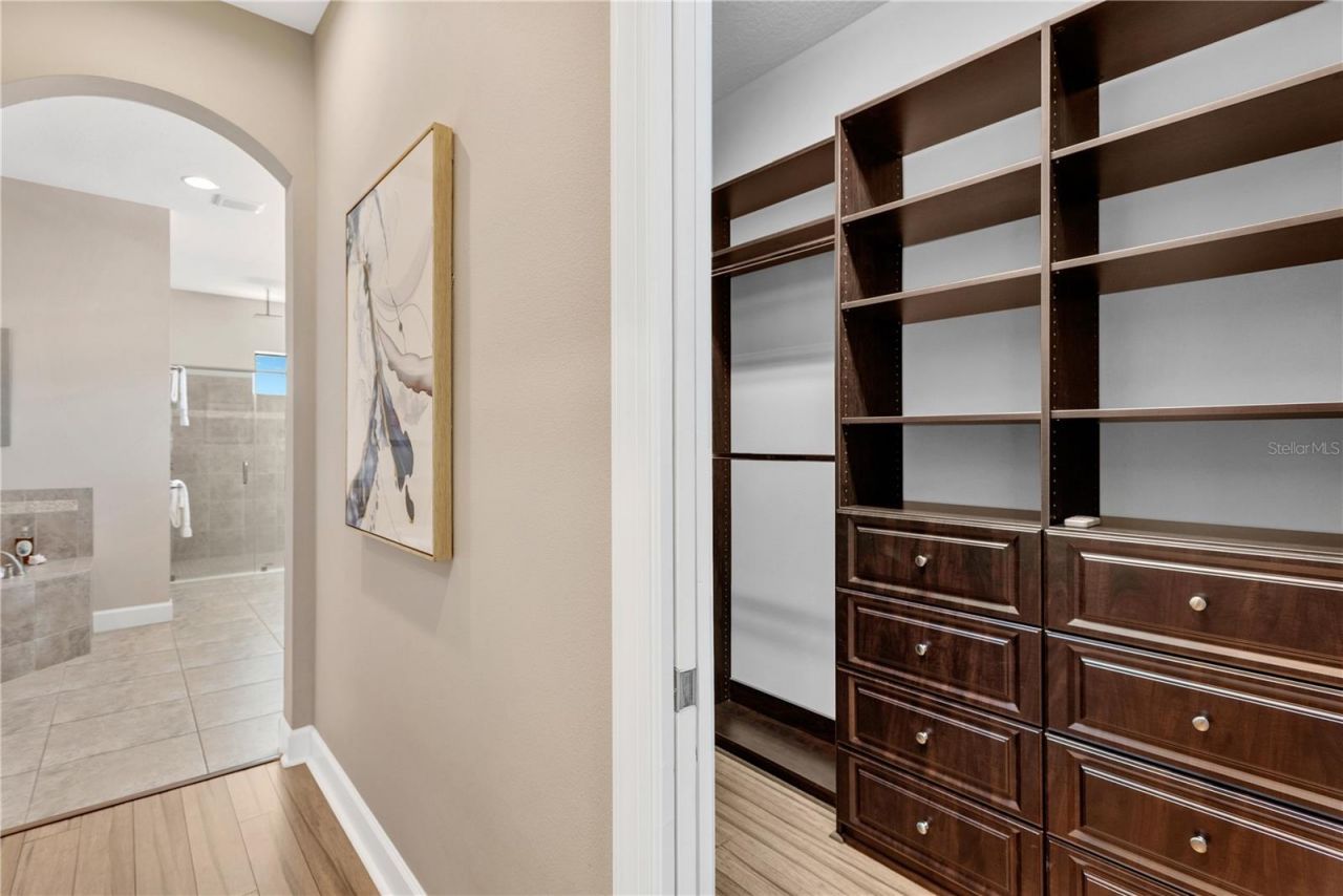 9127 Tillinghast Drive, Tampa, FL 33626 Photo