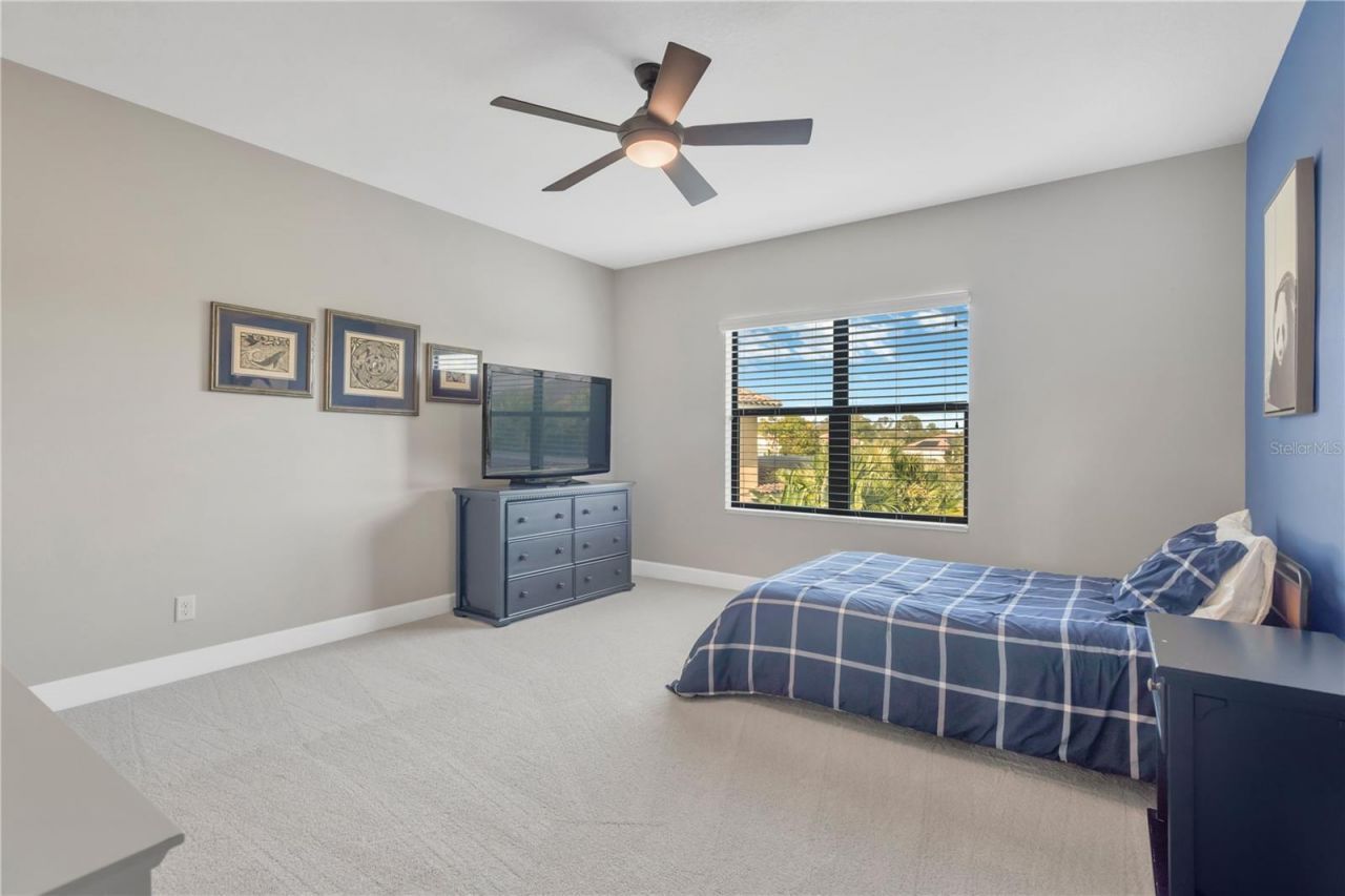 9127 Tillinghast Drive, Tampa, FL 33626 Photo