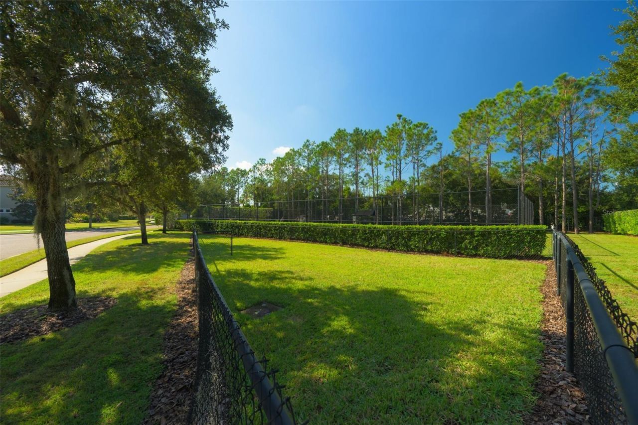 9127 Tillinghast Drive, Tampa, FL 33626 Photo