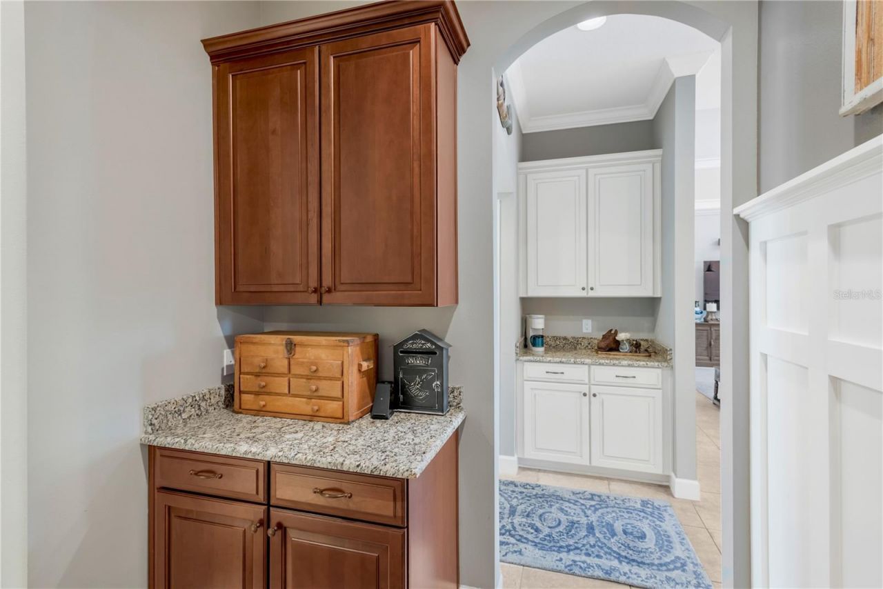 9127 Tillinghast Drive, Tampa, FL 33626 Photo