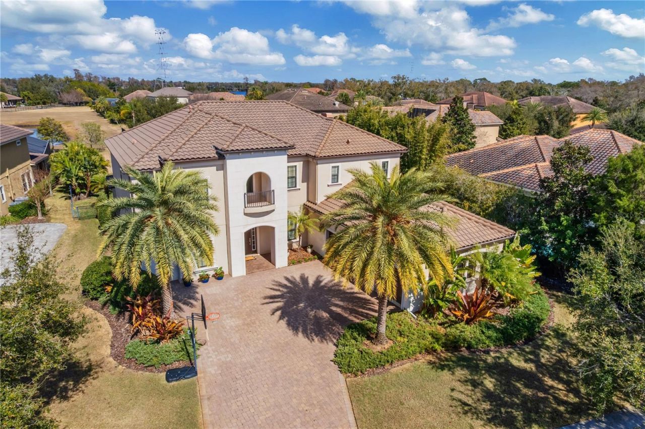 9127 Tillinghast Drive, Tampa, FL 33626 Photo