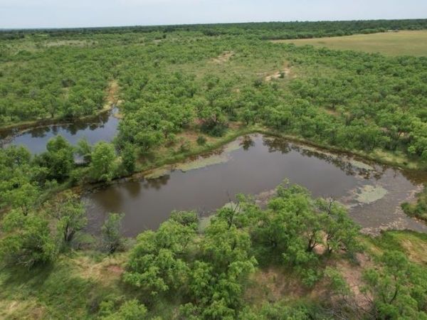 TBD FM 600, Anson, TX 79501