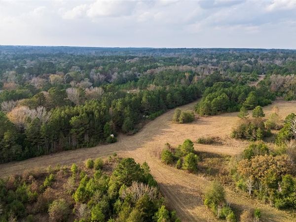 00 Farm to Market Road 228, Grapeland, TX 75844