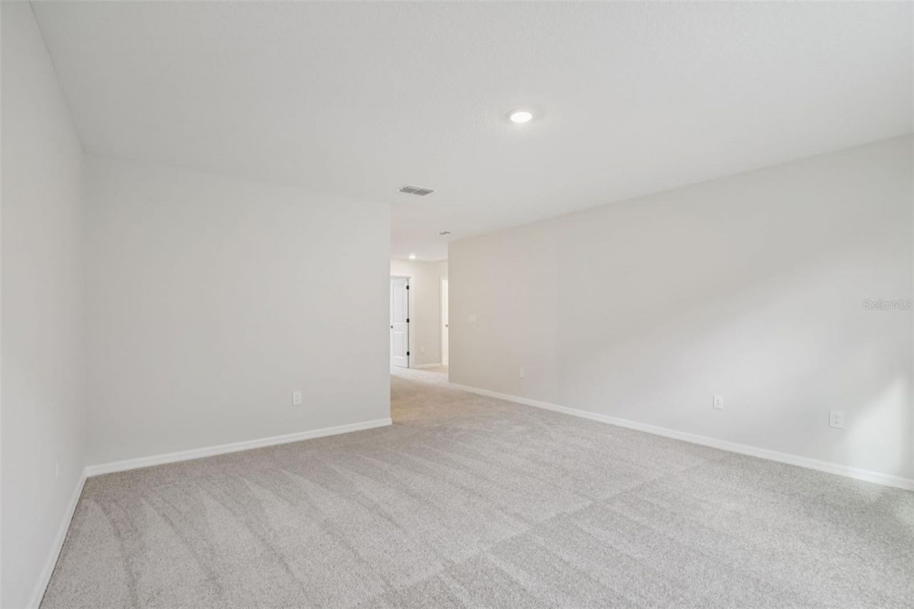 10167 Hidden Hammock Loop, Parrish, FL 34219 Photo