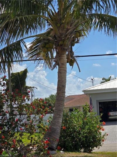 1017 NW 15th Street, Cape Coral, FL 33993 Photo