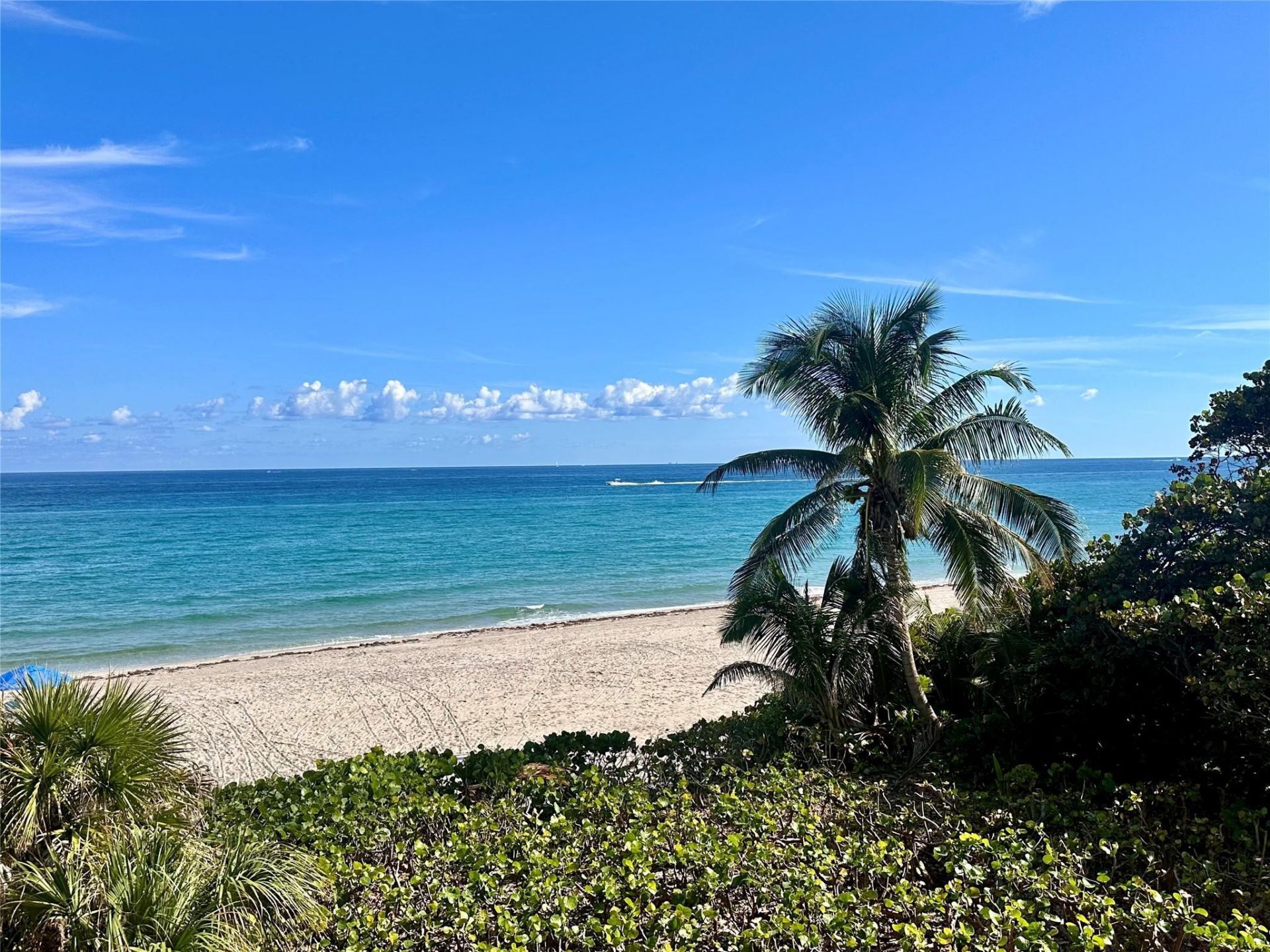 1149 Hillsboro Mile, Unit 309, Hillsboro Beach, FL 33062 Photo